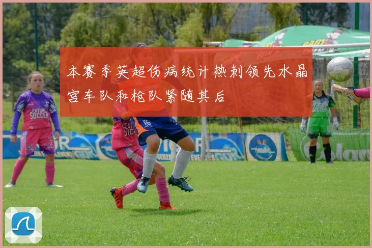 本赛季英超伤病统计热刺领先水晶宫车队和枪队紧随其后