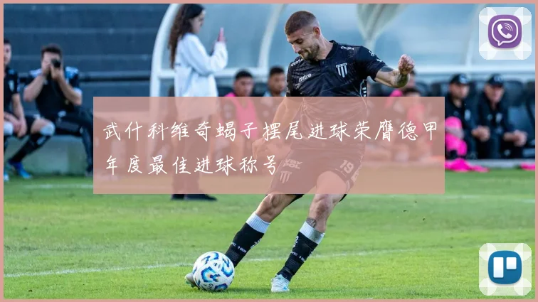 武什科维奇蝎子摆尾进球荣膺德甲年度最佳进球称号