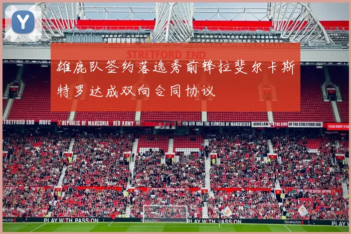 雄鹿队签约落选秀前锋拉斐尔卡斯特罗达成双向合同协议